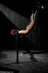 ebony tied up. Photo #5