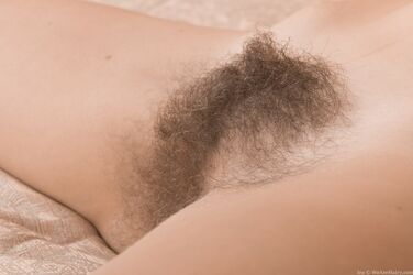 pretty hairy pussies. Photo #5